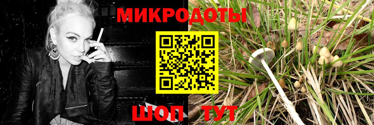 Псилоцибиновые грибы ЛСД Советск