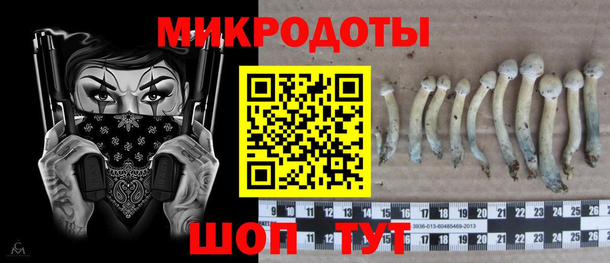 Галлюциногенные грибы GOLDEN TEACHER  Вход с VPN  Псилоцибиновые грибы Cubensis  Советск 